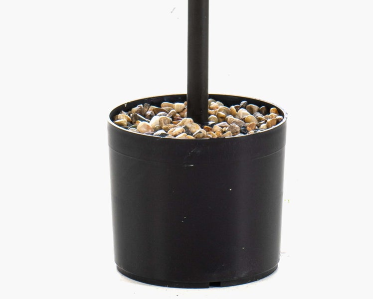 Schwarzer Pflanztopf mit kleinen Kieselsteinen und einem schwarzen Stab in der Mitte.