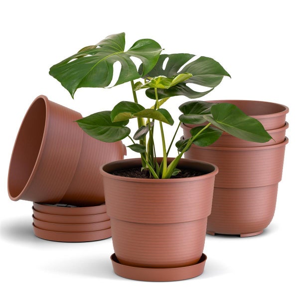 Kunststoff-Blumentöpfe in Terrakotta-Optik mit Rillenstruktur und passenden Untersetzern, ein Topf bepflanzt mit einer Zimmerpflanze.