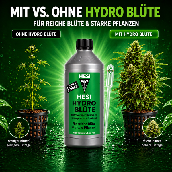 Vergleichsbild Hesi Hydro Bluete Pflanzenduenger zur Foerderung des Bluetenwachstums in hydroponischen Systemen mit Anwendungsbeispielen.
