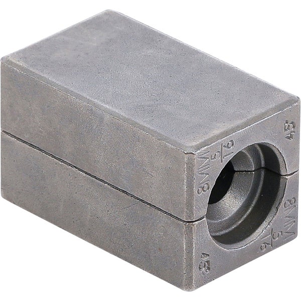 Stechpalme mit Blättern und roten Beeren