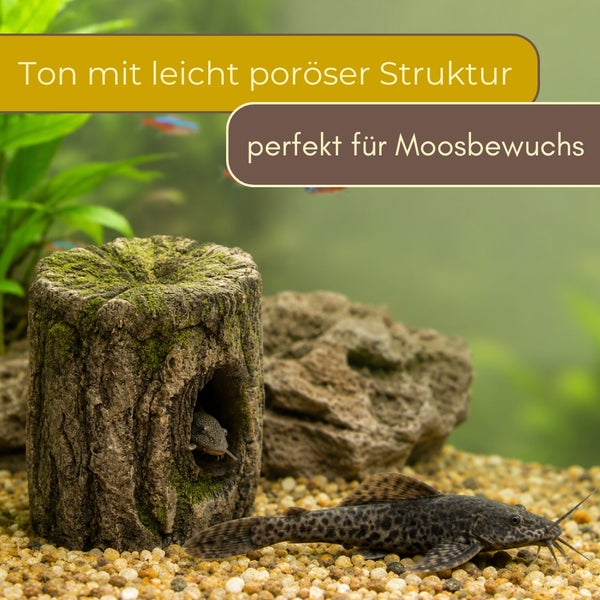 Aquariumdekoration aus porösem Ton in Baumstumpfoptik für Moosbewuchs, abgebildet in einem Aquarium mit Fischen.