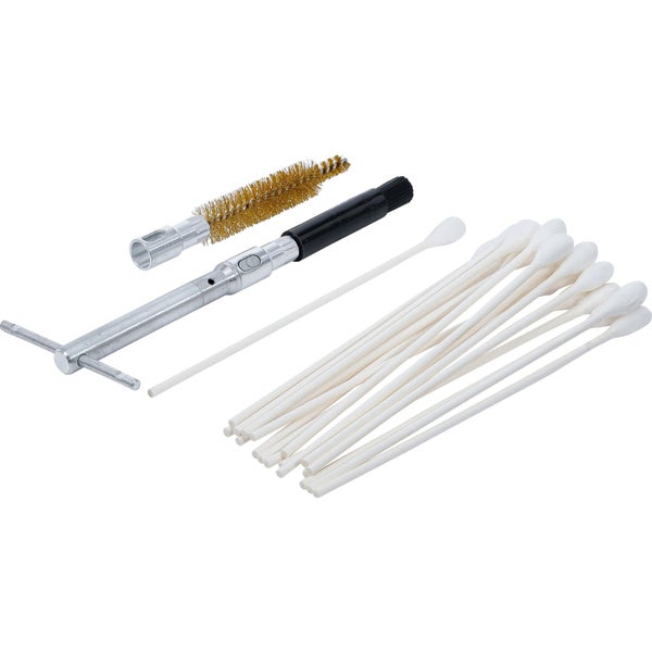 Reinigungsset mit Bürsten, Wattestäbchen und Werkzeug