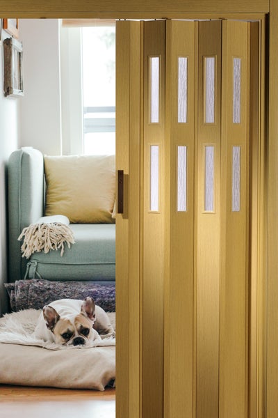 Holzschiebetür mit Glaseinsätzen, teilweise geöffnet, mit Hund im Hintergrund