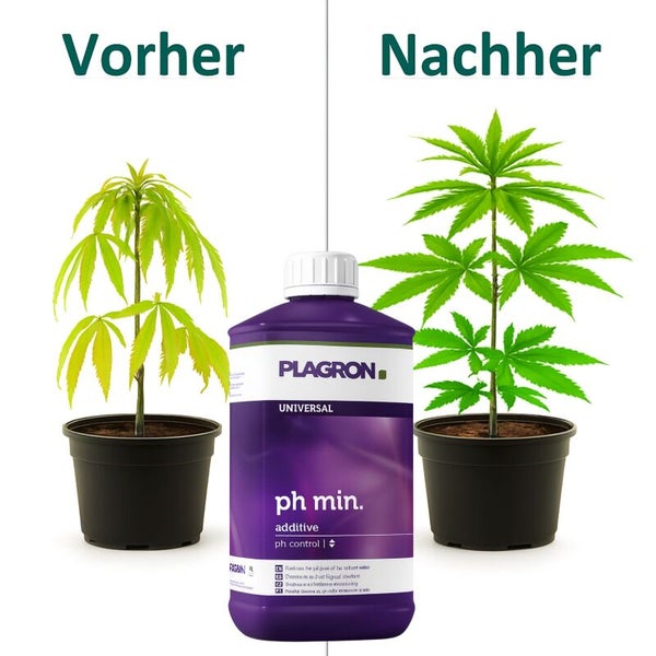 Vorher-Nachher-Darstellung einer Pflanze mit Plagron Universal pH-Minus Additiv zur pH-Wert-Regulierung