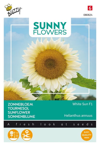 Sonnenblumen-Samenpackung White Sun F1