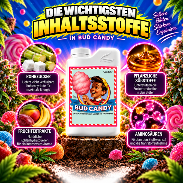 Produktinformation zu Bud Candy Pflanzendünger Inhaltsstoffe wie Rohrzucker, Fruchtextrakte, pflanzliche Süßstoffe und Aminosäuren.