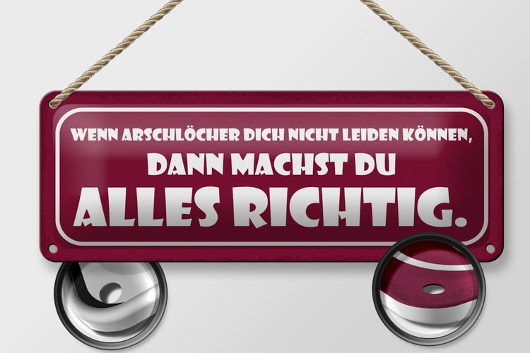 Blechschild Spruch 27x10cm wenn Arschlöcher dich nicht Dekoration