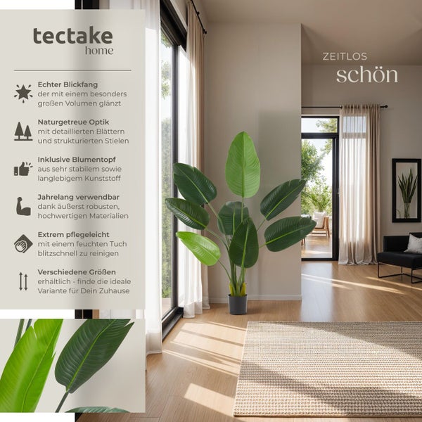 Dekorative Zimmerpflanze im Topf in heller, modern eingerichteter Wohnung.