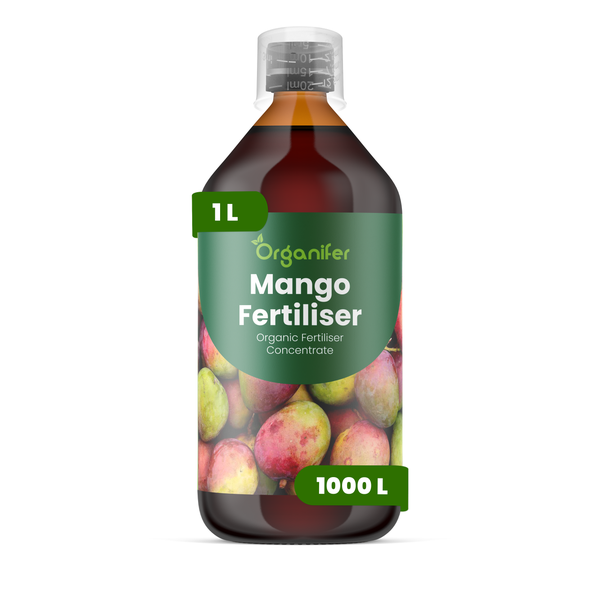 Organifer Mango Dünger, organisches Düngerkonzentrat, 1 Liter Flasche mit Dosierkappe.