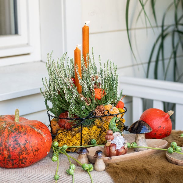 Dekoration mit Kürbissen, Heidekraut, Kerzen und Zwerg auf einem Tisch