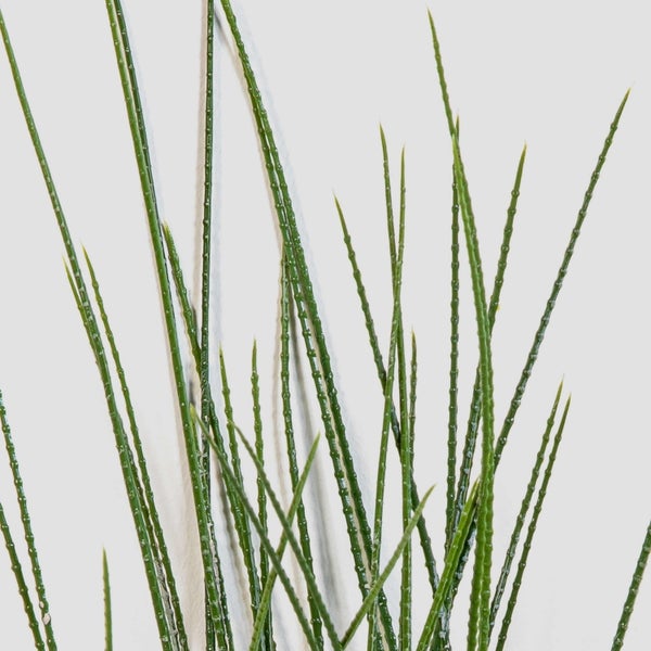 Künstliche grüne Grashalme aus Kunststoff in der Detailansicht.