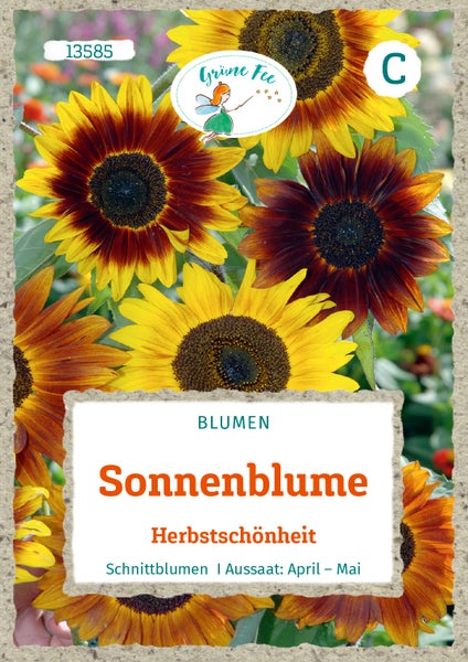 Samentüte Sonnenblume Herbstschönheit von Grüne Fee Logo. Mit gelben, orangefarbenen und roten Blüten. Aussaat von April bis Mai.