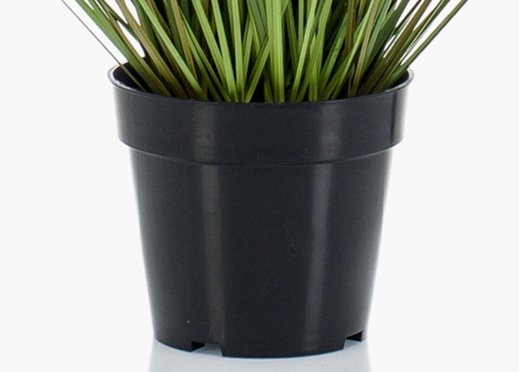 Künstliches Ziergras mit aufrechten federartigen Blütenständen und feinen grünen Halmen.