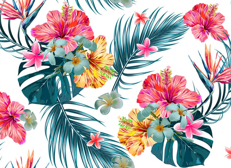 Tapete mit tropischem Muster aus Hibiskusblüten, Palmblättern, Monstera und Paradiesvogelblumen.