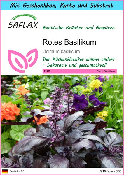 SAFLAX Geschenk Set - Rotes Basilikum - Ocimum basilicum - 200 Samen - Mit Geschenkbox, Versandaufkleber, Geschenkkarte und Anzuchtsubstrat