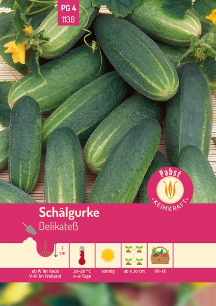 Samentüte für Schälgurke Delikateß mit Gurken, Pabst Keimkraft Logo, Symbolen für Aussaattiefe 2 Zentimeter, sonnigen Standort und Erntezeit.