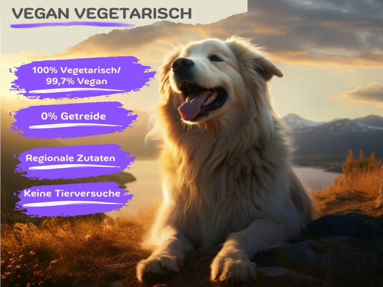 Vegi (1 x 14,5 kg) vegan/vegetarisches Hundefutter Purinarm mit Süßkartoffel I Sensitiv & Hypoallergen I Alleinfuttermittel für Hunde ab dem 12ten Lebensmonat
