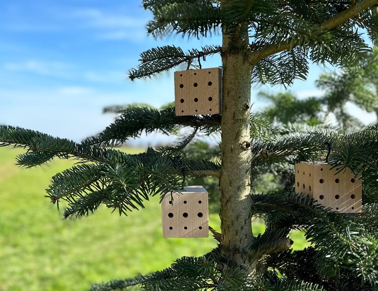 WONDERMAKE® 3er Set: Design Insektenhotel klein, Kubus aus Buche-Holz mit 3x 42 Nistplätzen, Bienenhotel hängend Nisthilfe für Wildbienen, braun schwarz