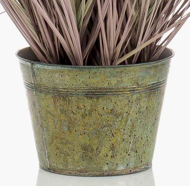 Symbol für Zimmerpflanzen