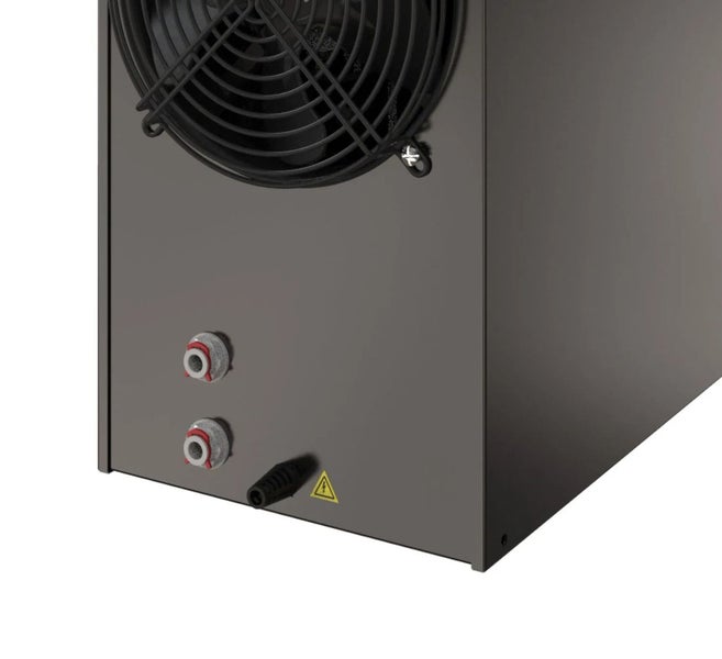 Blätter einer Zimmerpflanze