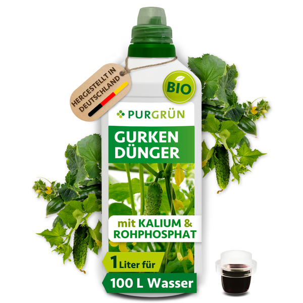 Eine Flasche PurGrün Bio Gurkendünger 1 Liter mit Kalium und Rohphosphat für 100 Liter Wasser hergestellt in Deutschland