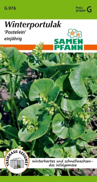 Winterportulak-Samenpackung für einjährige Pflanzen
