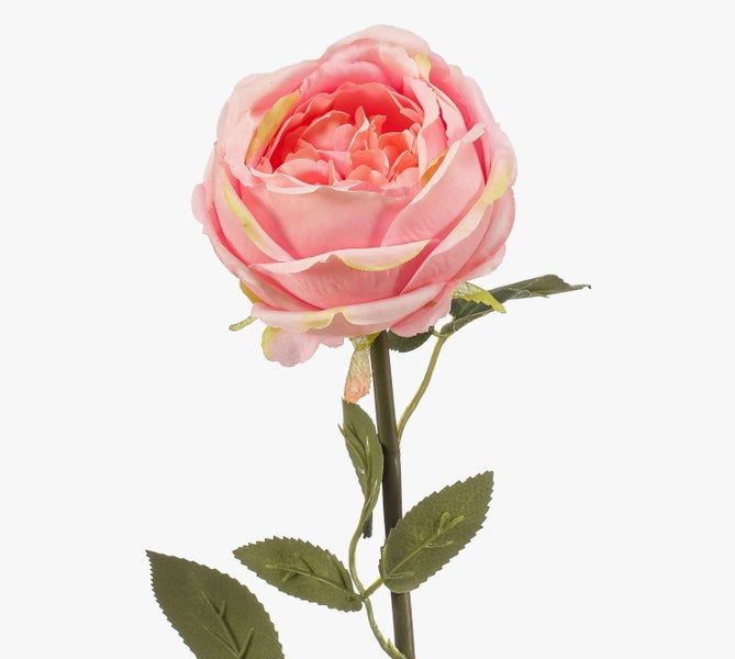 Künstliche Hängepflanze Spanisches Moos Tillandsia usneoides mit dünnen lockigen silbergrauen Zweigen.