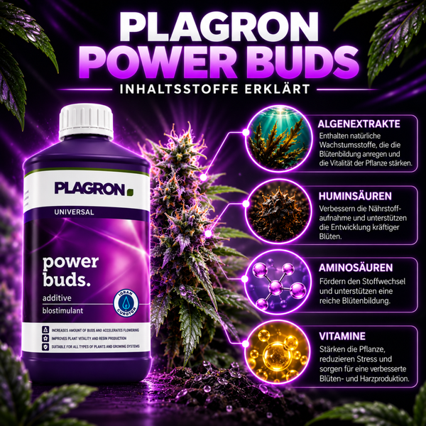 Plagron Power Buds Blühstimulator in der Flasche mit Erläuterung der Inhaltsstoffe Algenextrakte Huminsäuren Aminosäuren und Vitamine für Pflanzen