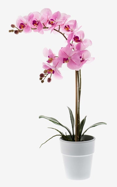 Künstlicher rosa Orchideenzweig mit Blüten und Knospen.