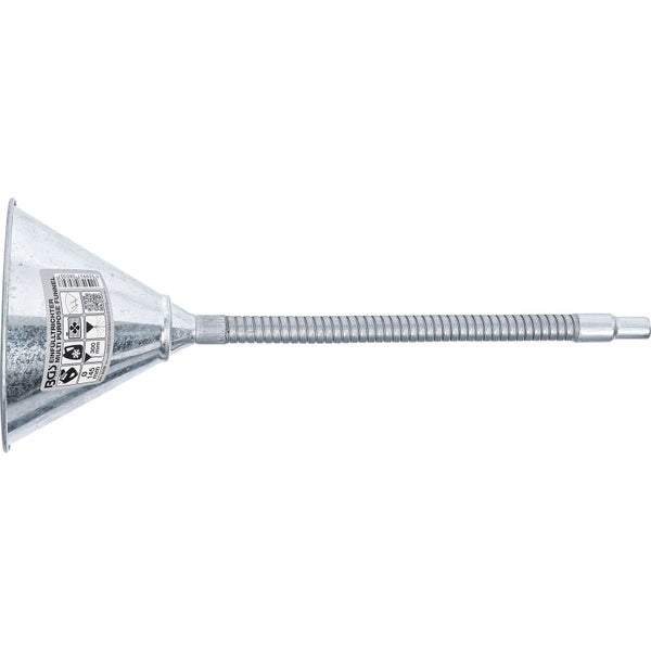 Rispenhortensie mit Blütenstand