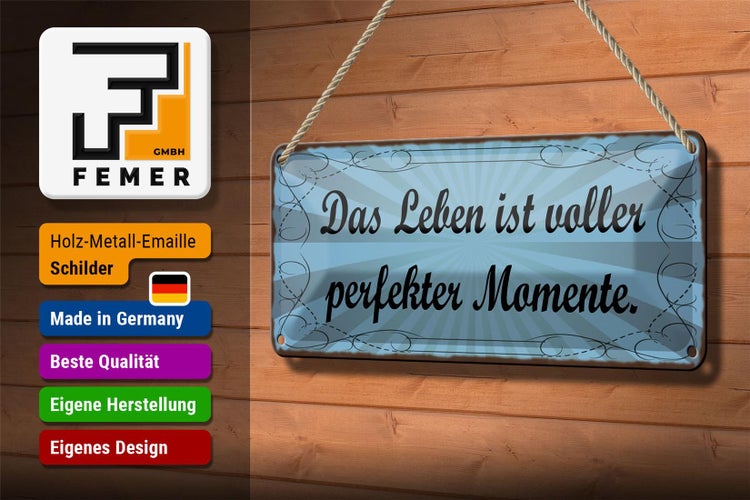 Blechschild Spruch 27x10cm Leben voller perfekter Momente Dekoration