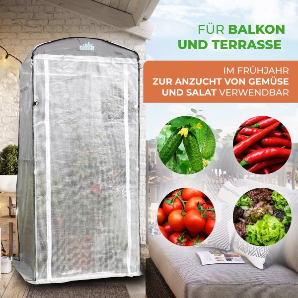 Bio Green Patioflora Gewächshaus mit Pflanzen auf Regalen