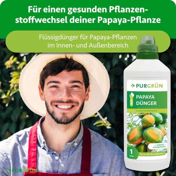 Gärtner mit Sonnenhut neben einer Flasche Purgrün Bio-Papaya-Flüssigdünger für den Innen- und Außenbereich.
