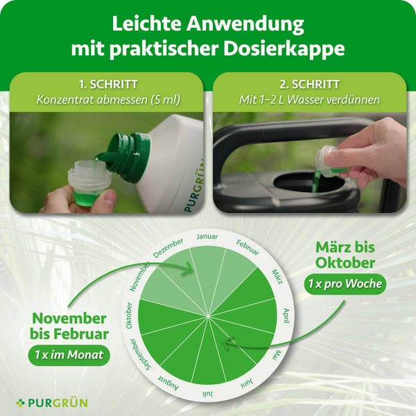 Infografik zur Anwendung von Purgruen Pflanzendünger: Schritt-für-Schritt-Dosieranleitung und saisonaler Düngerkalender für das ganze Jahr.