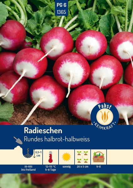 Samentüte für Radieschen Rundes halbrot-halbweiss mit Abbildung der Ernte, Symbolen für Anbauhinweise und Pabst Keimkraft Logo.