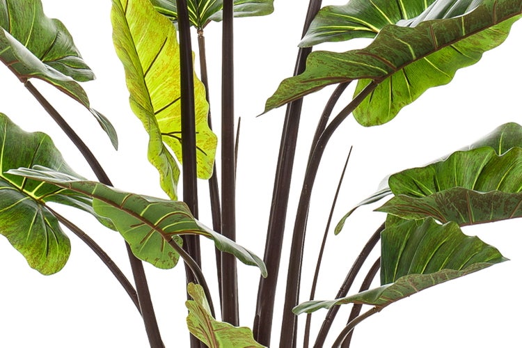 Nahaufnahme einer künstlichen Alocasia Pflanze mit großen grünen Blättern und dunklen Stielen aus Kunststoff.