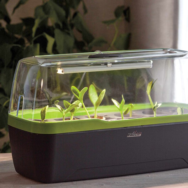 Romberg BoQube L PLUS LED Gewächshaus – 2-in-1 Anzuchtsystem mit 5W LED Pflanzenbeleuchtung, Transformierbar in Pflanzkasten, Lebensmittelecht und 100% Recycelbar, Made in Germany