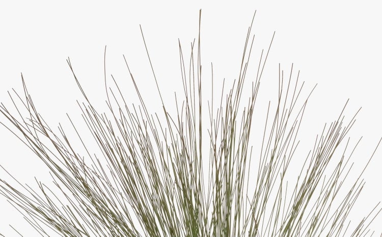 Künstliche Cordyline Pflanze mit drei Stämmen und großen grünen Blättern in einem kleinen schwarzen Kunststofftopf.