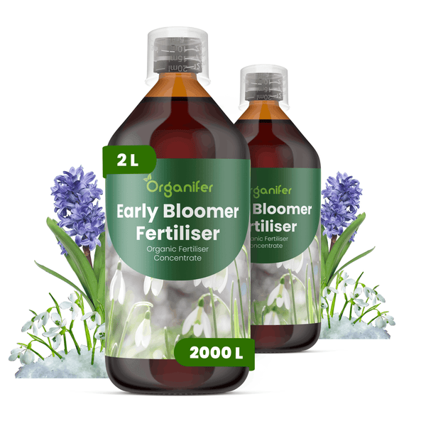 Zwei Flaschen Organifer Early Bloomer Fertiliser, organischer Flüssigdünger für frühblühende Pflanzen, Konzentrat, 2 Liter.