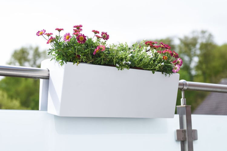 Weißer Balkonkasten für das Geländer, bepflanzt mit rosa und weißen Blumen, montiert an einer Metallreling auf einem hellen Balkon.