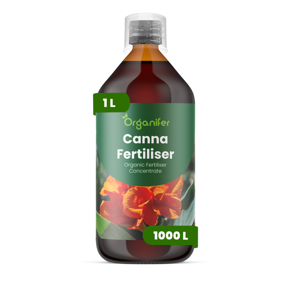 Organifer Canna Dünger, organisches Düngerkonzentrat, 1 Liter Flasche für 1000 Liter Gießwasser.