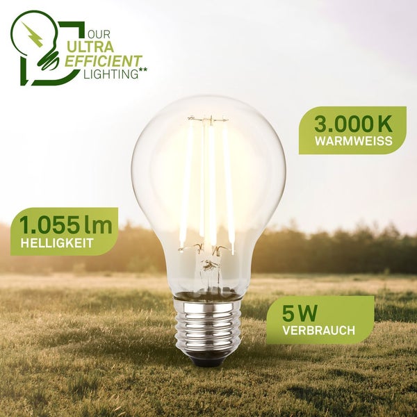 Zwei klare LED-Filament-Leuchtmittel mit Maßen: 105 Millimeter Höhe und 60 Millimeter Durchmesser. Our Ultra Efficient Lighting Logo.