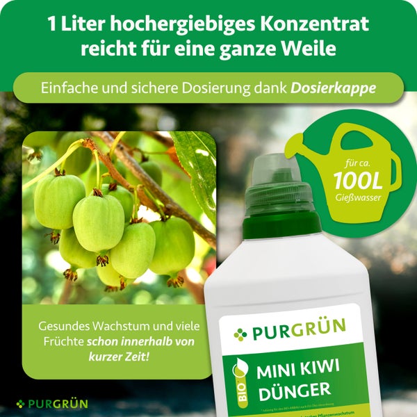 Fischer Flachdübel Holzverbindungsplättchen, 85 Stück in Kunststoffbox zum Leimen und Verbinden von Holz.