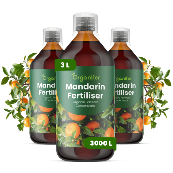 Drei Flaschen Organifer Mandarinen Dünger, organischer Flüssigdünger Konzentrat, 3 Liter Inhalt für Pflanzen.