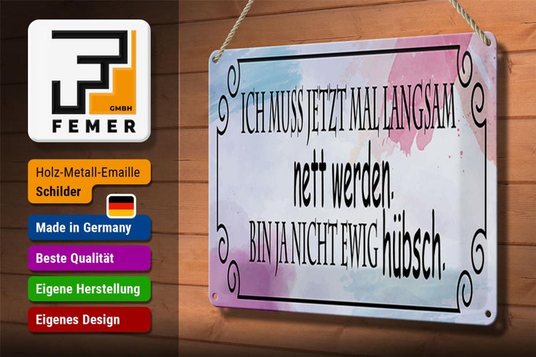Blechschild Spruch 30x20cm ich muss mal langsam nett werden