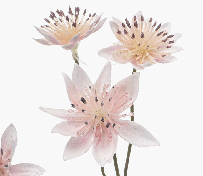 Künstliche Astrantia-Blüten in Hellrosa mit detaillierten Staubgefäßen an Stielen.
