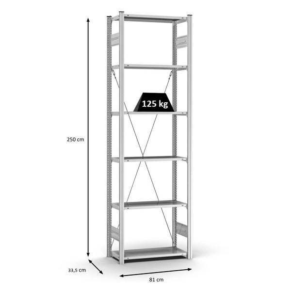PROREGAL Profi Lagerregal Stecksystem T-Profil Grundregal HxBxT 250 x 75 x 30 cm Fachlast 125 kg Verzinkt