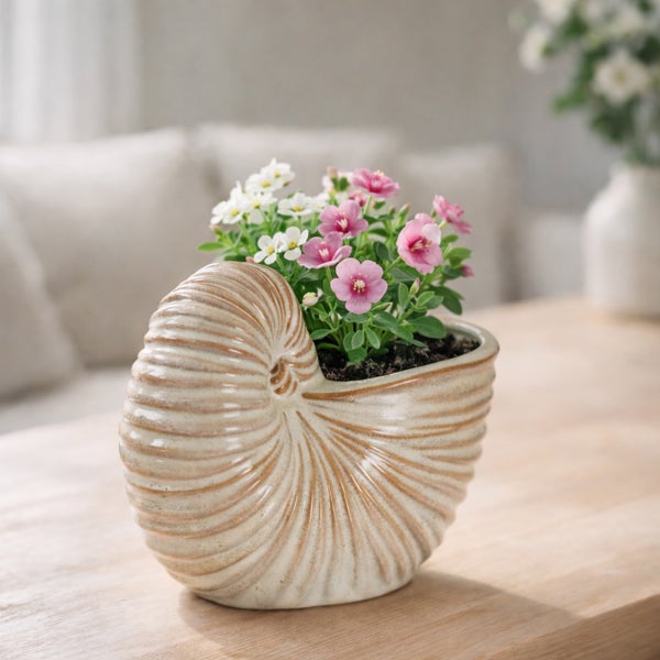 Keramik-Blumentopf in Form einer Nautilus-Muschel mit Blumen auf einem Holztisch.