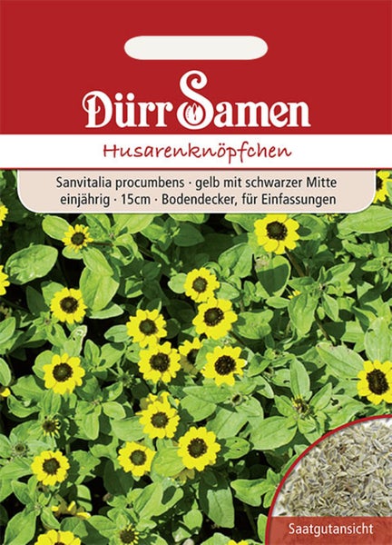 Samenpackung Husarenknöpfchen, Sanvitalia procumbens, gelbe Blüten, schwarze Mitte, einjähriger Bodendecker, Höhe 15 Zentimeter, Dürr Samen Logo.