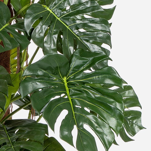 Künstliche Monstera Pflanze mit großen grünen Blättern und charakteristischen Blatteinschnitten.